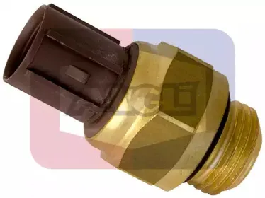 angli-16218