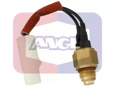 angli-16220