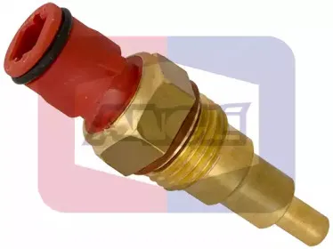 angli-16229