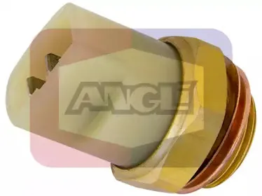 angli-1623