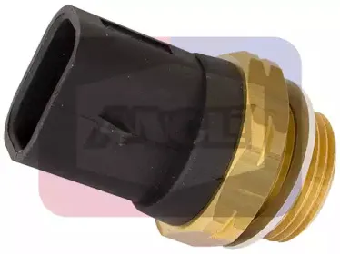 angli-1645