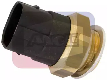 angli-16504