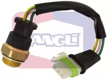 angli-16505