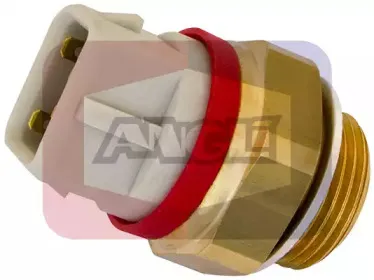 angli-16506