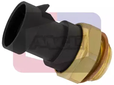 angli-16513