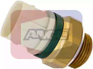 angli-16514