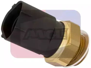 angli-16519