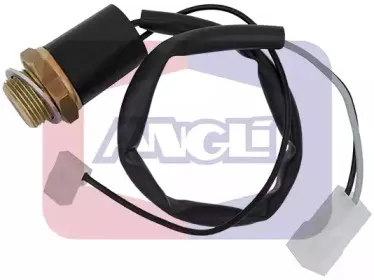 angli-1652