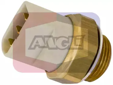 angli-16523
