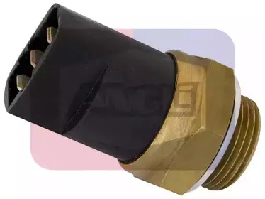 angli-1656
