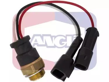 angli-1670
