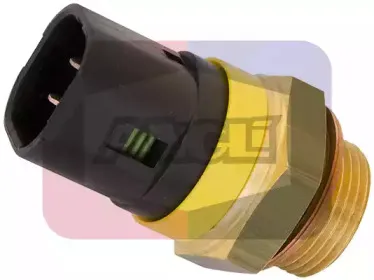 angli-1679