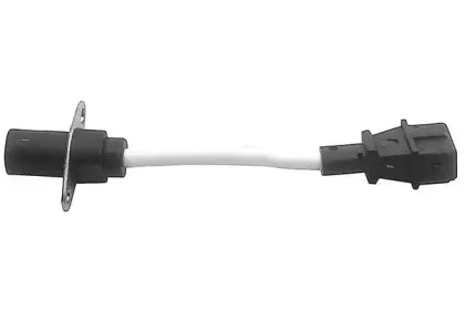 angli-17015
