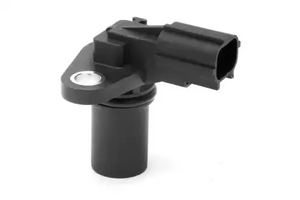 angli-17063