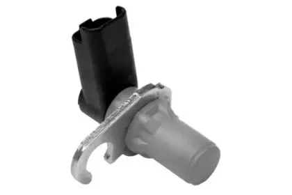 angli-17089