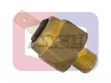 angli-17502