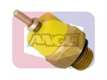 angli-17509