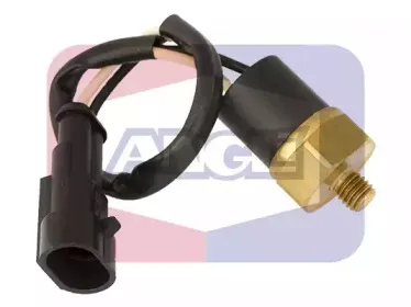 angli-17510