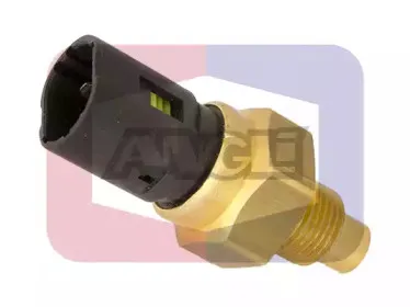 angli-17511