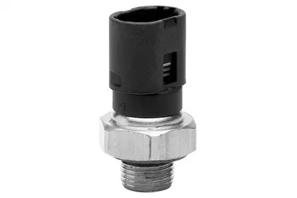 angli-17516