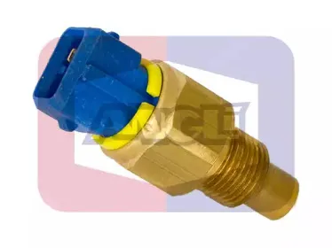 angli-17520