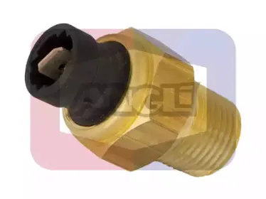angli-1753