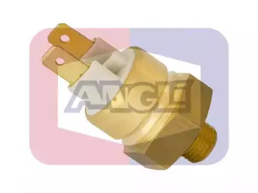angli-17531