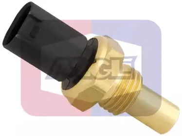 angli-180002