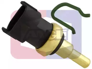 angli-180004