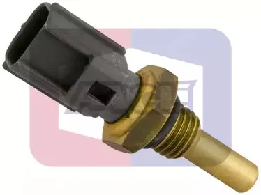angli-180009