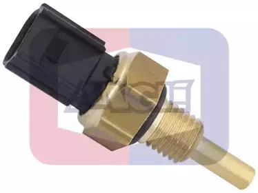 angli-180013