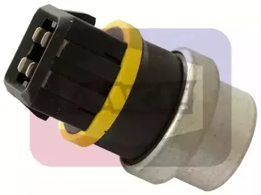 angli-1819