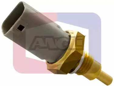 angli-1851
