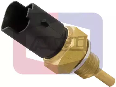 angli-1862