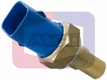 angli-1884