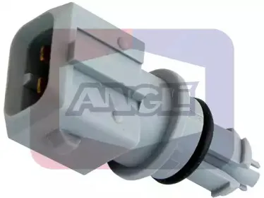 angli-19010