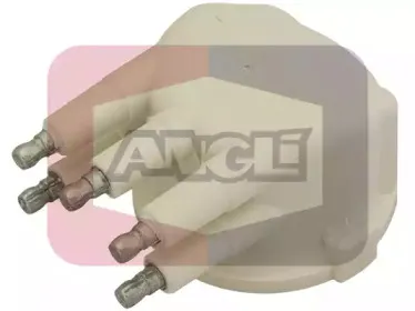angli-2012p