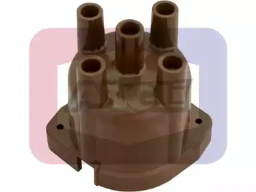 angli-2024