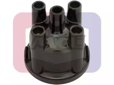 angli-2025