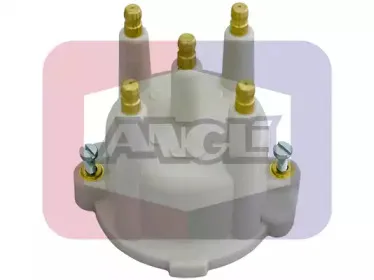 angli-2032p