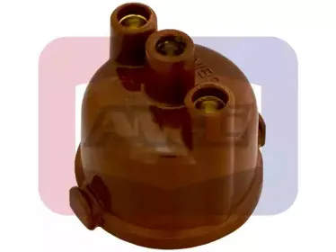 angli-2040