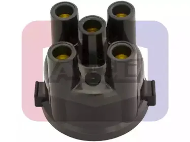 angli-2056