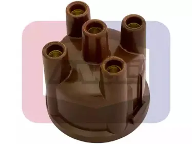 angli-2203