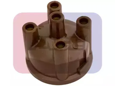 angli-2204