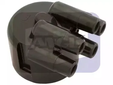 angli-2205