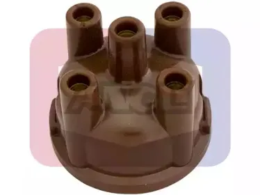 angli-2206