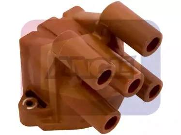 angli-2247p