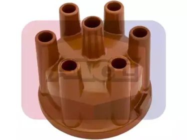 angli-2248p