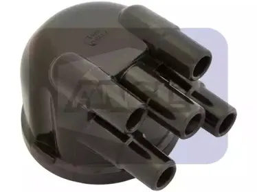 angli-2251