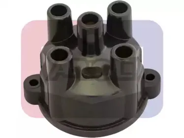angli-2252